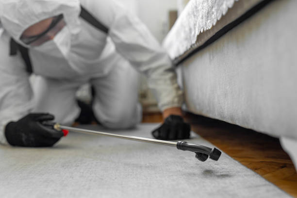 Professional Termite Control technician working in Abbeville County County, SC